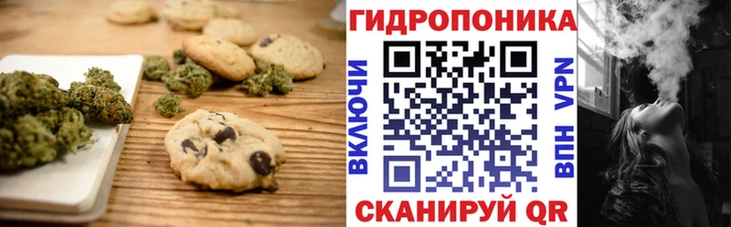 Canna-Cookies конопля  Купить  Знаменск 