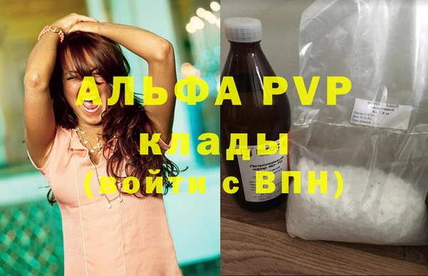 эйфоретик Инсар