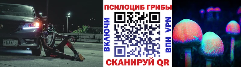 Купить где  Знаменск  Галлюциногенные грибы Magic Shrooms 
